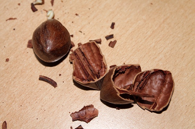 Main difference - Pecans vs Walnuts