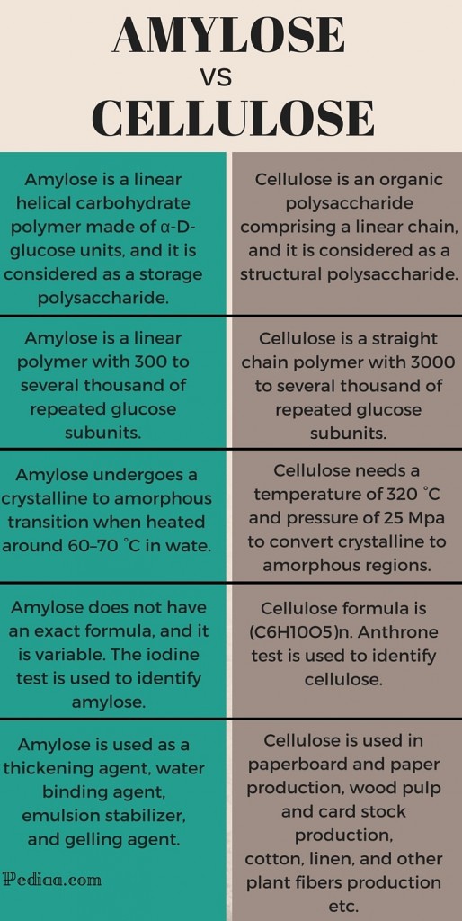 Difference Between Amylose and Cellulose-infographic