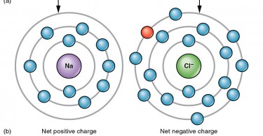 Covalent bonds Archives - Pediaa.Com