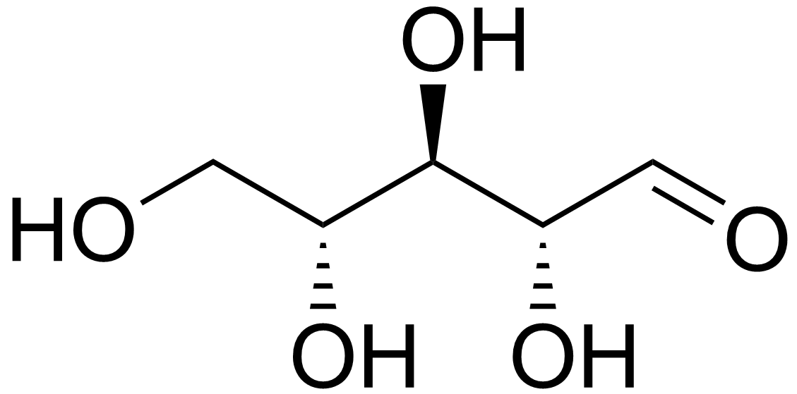 Difference Between Deoxyribose and Ribose