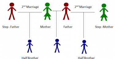 Half Brother Meaning Archives Pediaa Com