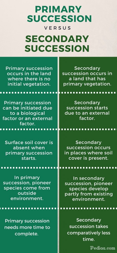 Difference Between Primary and Secondary succession
