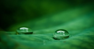 Surface Tension and Surface Energy Difference Archives - Pediaa.Com