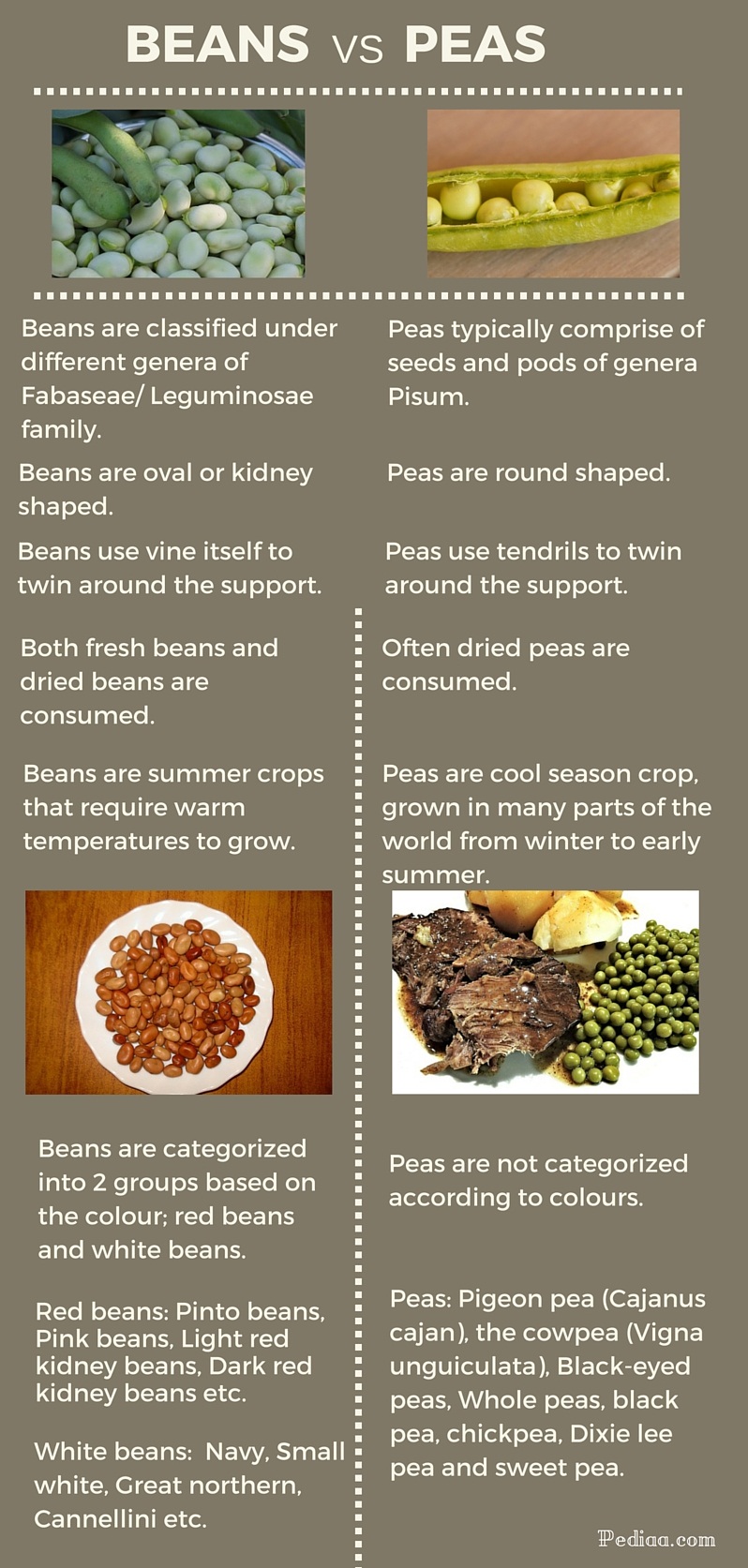 Difference Between Beans and Peas