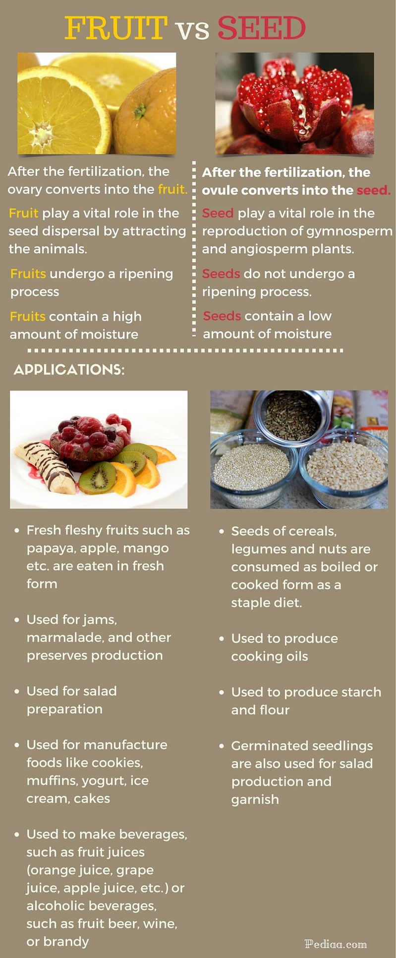 Difference Between Fruit and Seed