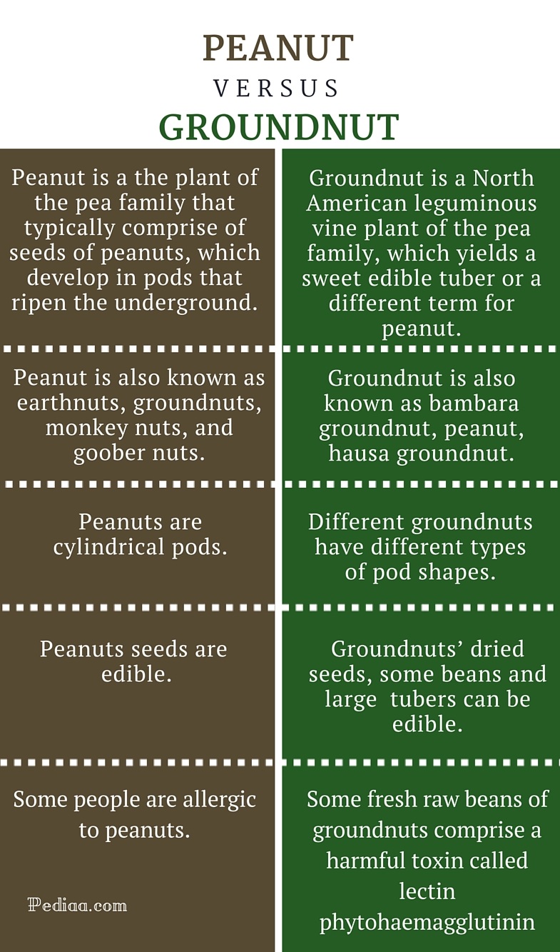 Difference Between Peanut and Groundnut -infographic