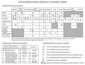 What are Phonemes