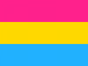 Difference Between Bisexual and Pansexual