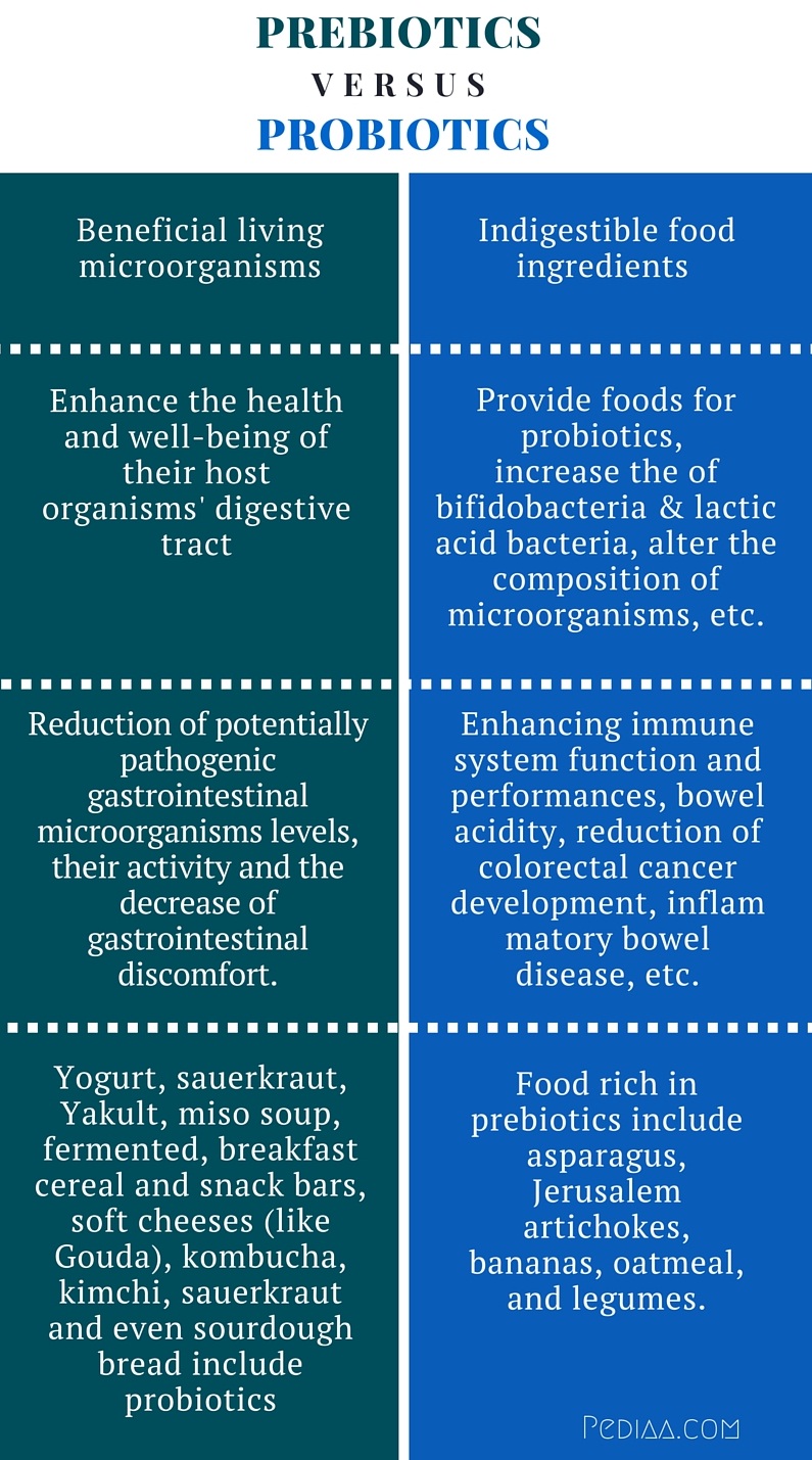 Difference Between Prebiotics and Probiotics - infographic