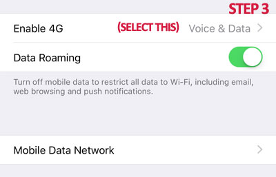 How to enable VoLTE in iPhone - Pediaa.Com
