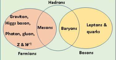 Difference Between Fermions and Bosons - image