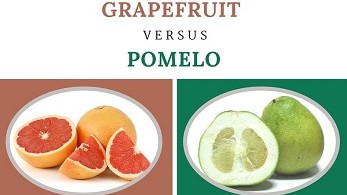 pomelo vs grapefruit differences