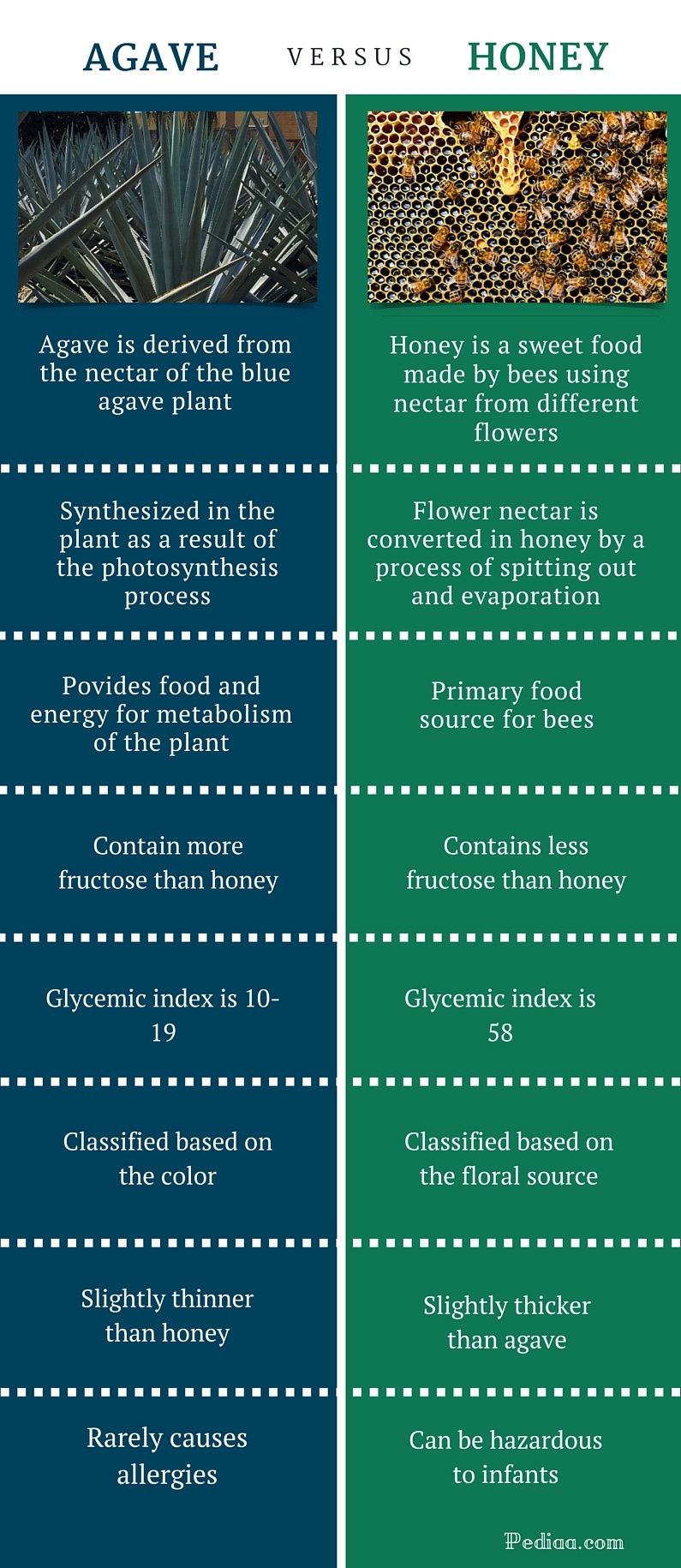Difference Between Agave and Honey -infographic