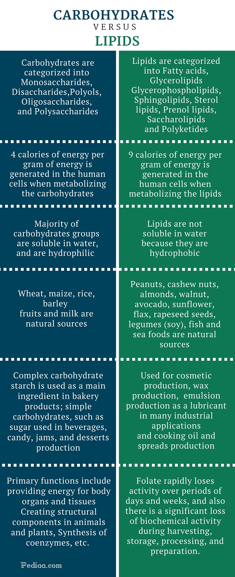 Difference Between Carbohydrates and Lipids - infographic