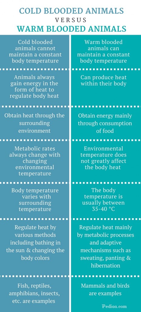 difference-between-cold-blooded-and-warm-blooded-animals-comparison