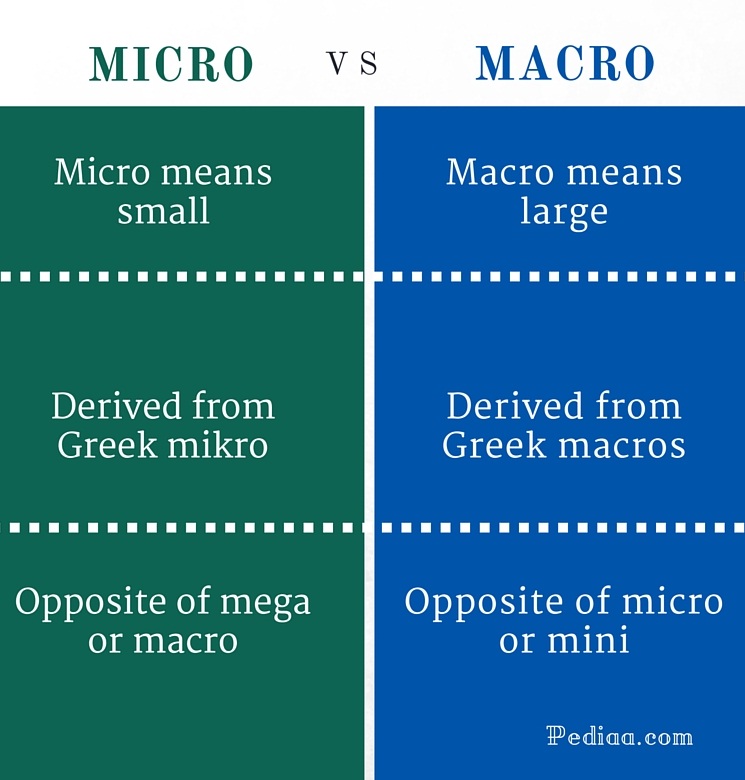 Difference Between Micro and Macro | Meaning, Usage, Examples