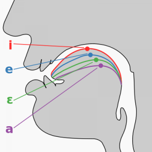 Difference Between Phonetics and Phonology