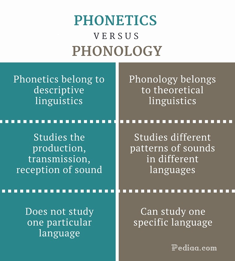 Difference Between Phonetics and Phonology - infographic