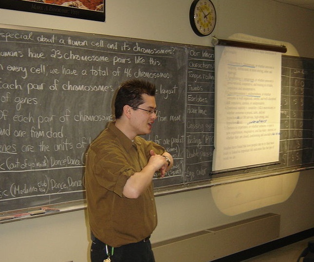 Difference Between Teacher And Trainer