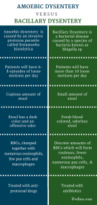 dysentery amoebic bacillary