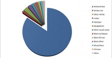 Meaning ethnicity Race vs.