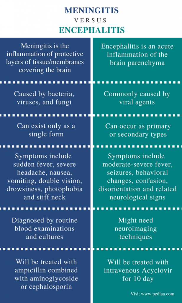 Difference Between Meningitis and Encephalitis | Definition, Causes ...