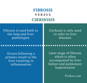 fibrosis cirrhosis