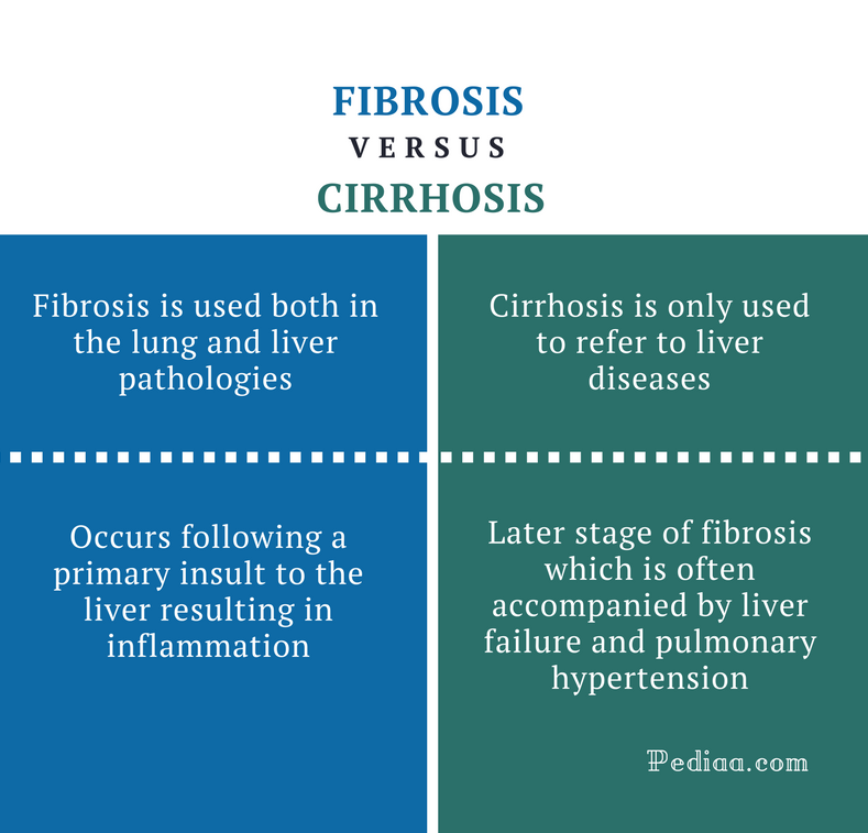 Difference Between Fibrosis and Cirrhosis - Fibrosis vs Cirrhosis Comparison Summary