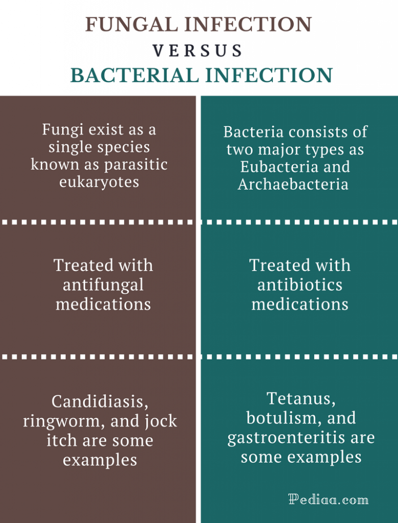 Difference Between Fungal And Bacterial Infection Cause Common Types