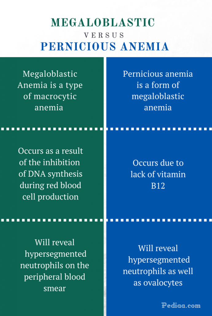 difference-between-megaloblastic-and-pernicious-anemia-causes-signs