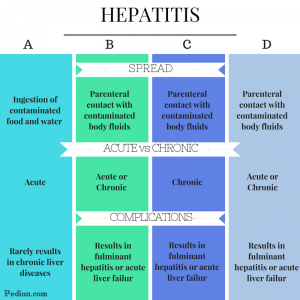 Difference Between Hepatitis A B C And D | Pathology, Clinical Features ...