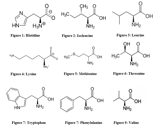 Difference Between Essential and Nonessential Amino Acids