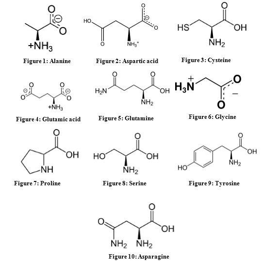 difference-between-essential-and-nonessential-amino-acids