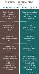 Difference Between Essential and Nonessential Amino Acids