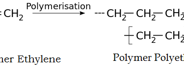 Homopolymer vs Copolymer Archives - Pediaa.Com