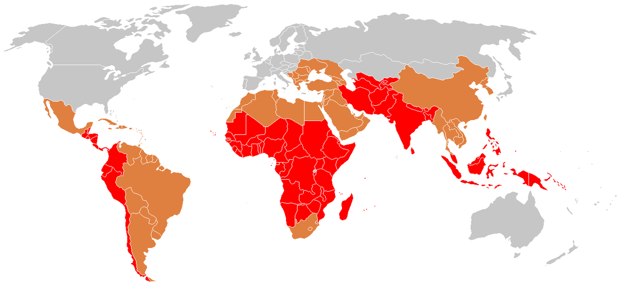 Main Difference - Typhoid vs Paratyphoid Fever