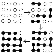 What Type of Chemical Reaction Produces a Polymer