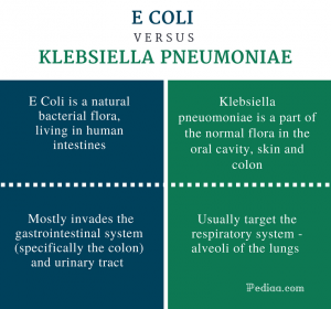 Difference Between E coli and Klebsiella Pneumoniae | Clinical ...