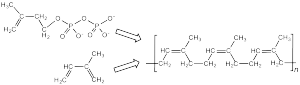 Difference Between Vulcanized And Unvulcanized Rubber | Properties ...