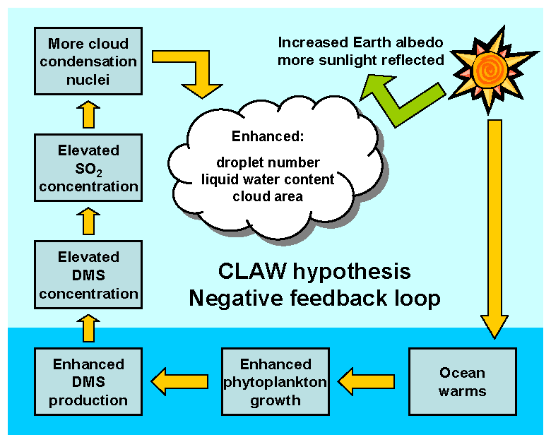 a scientific hypothesis must be potentially