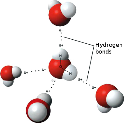 Difference Between Intermolecular and Intramolecular Forces