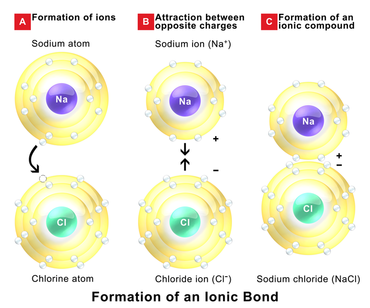 difference-between-intermolecular-and-intramolecular-forces