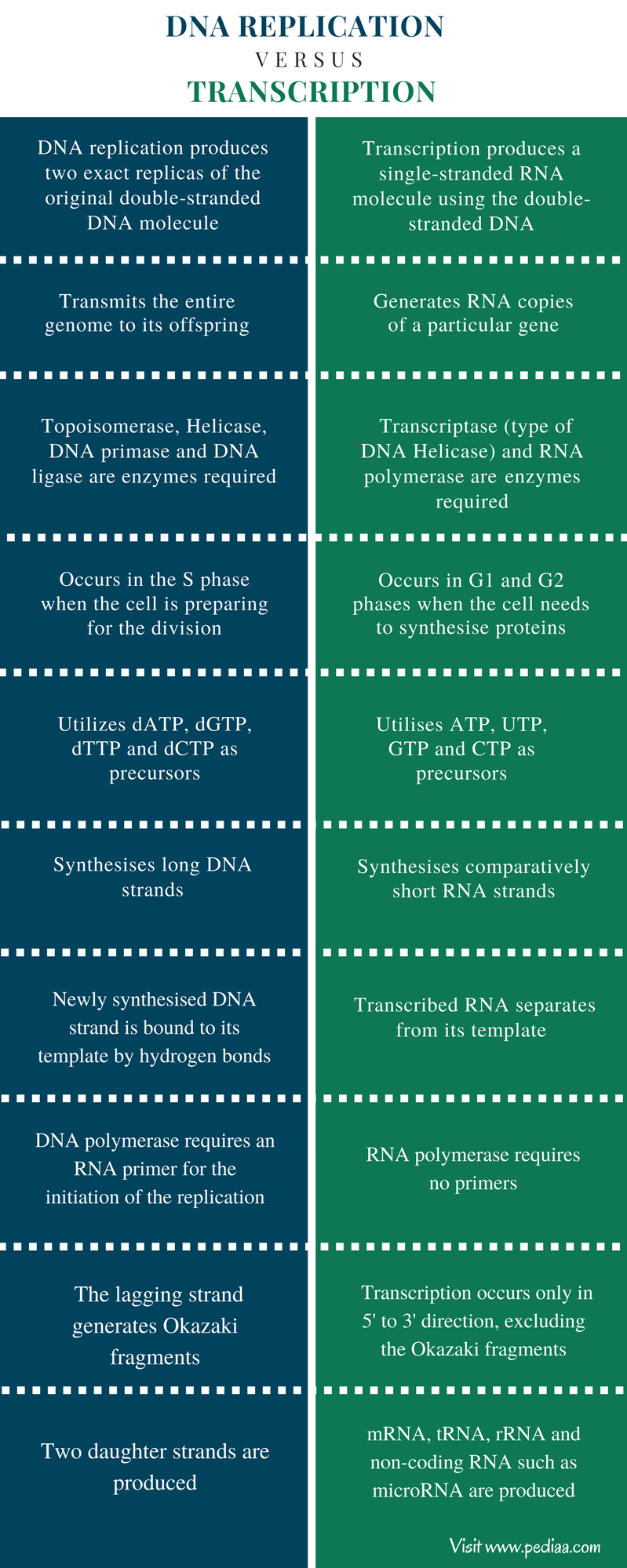 difference-between-dna-replication-and-transcription-definition