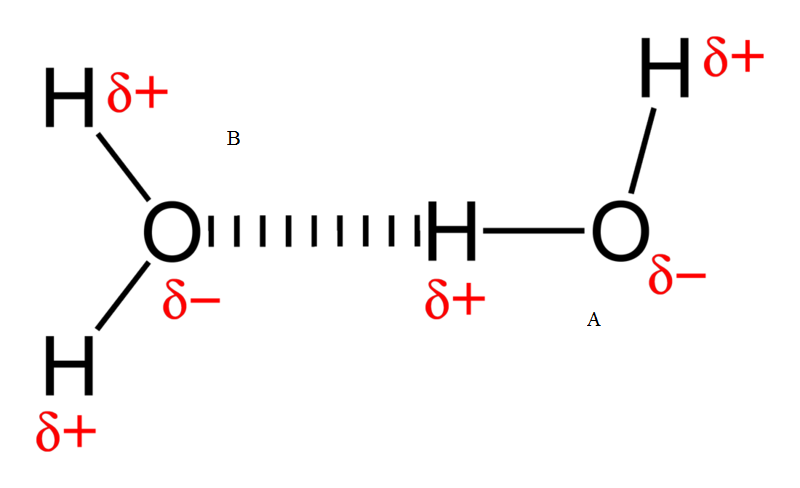 How Do Polar and Nonpolar Molecules Interact With Each Other - 5