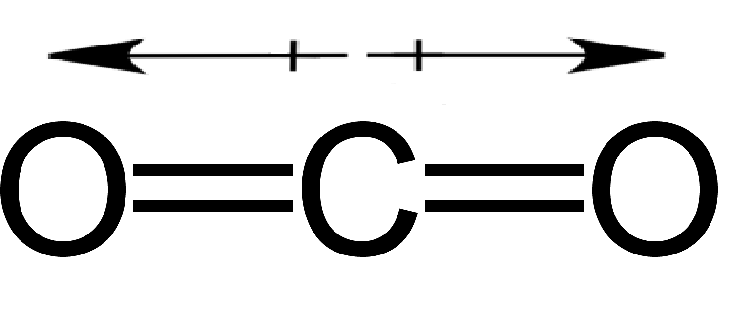 How Does Molecular Shape Affect Polarity Explained With Examples