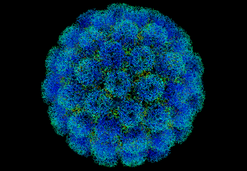 Difference Between Bacteria and Virus | Classification, Structure