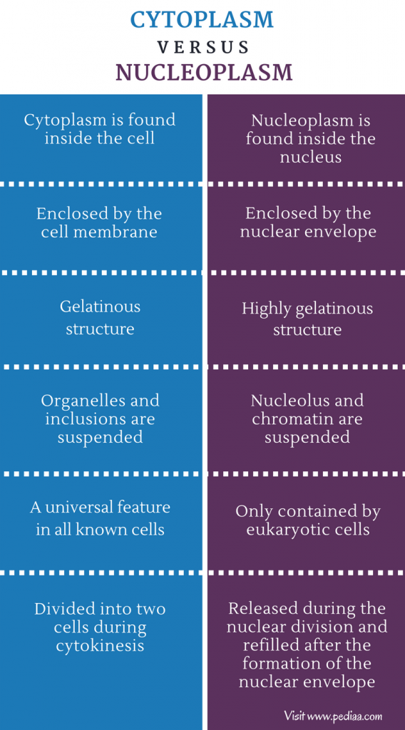 Difference Between Cytoplasm and Nucleoplasm Definition, Physical
