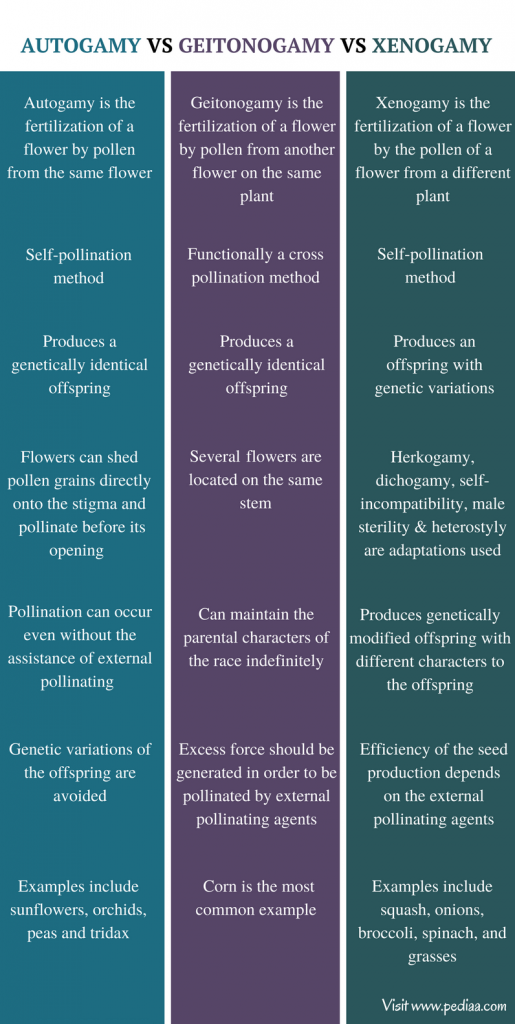 Difference Between Autogamy Geitonogamy and Xenogamy | Definition ...