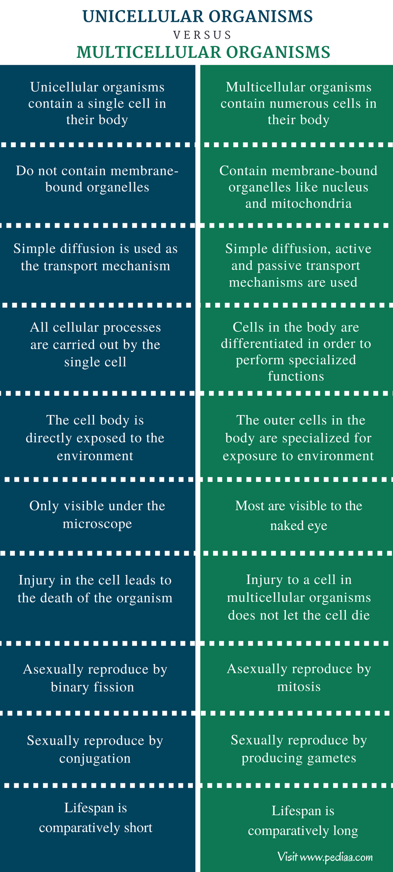 difference-between-unicellular-and-multicellular-organisms-with-riset