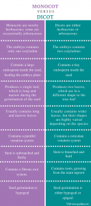 Difference Between Monocot and Dicot | Definition, Structure, Features
